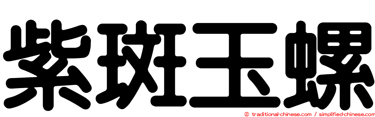 紫斑玉螺