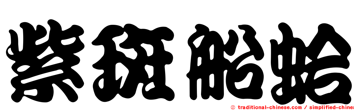 紫斑船蛤