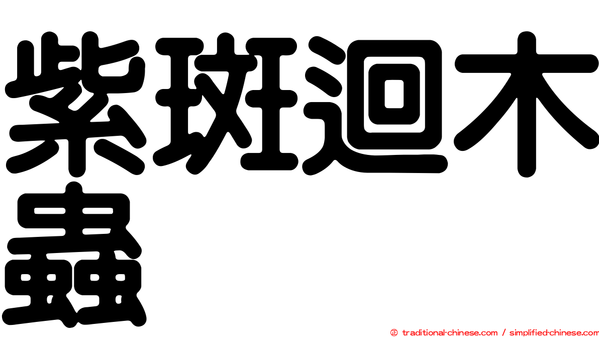 紫斑迴木蟲