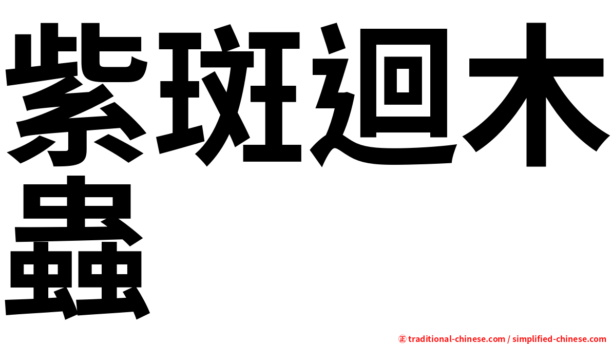 紫斑迴木蟲