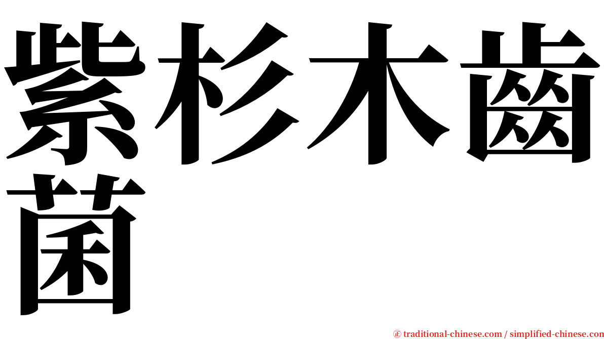 紫杉木齒菌 serif font
