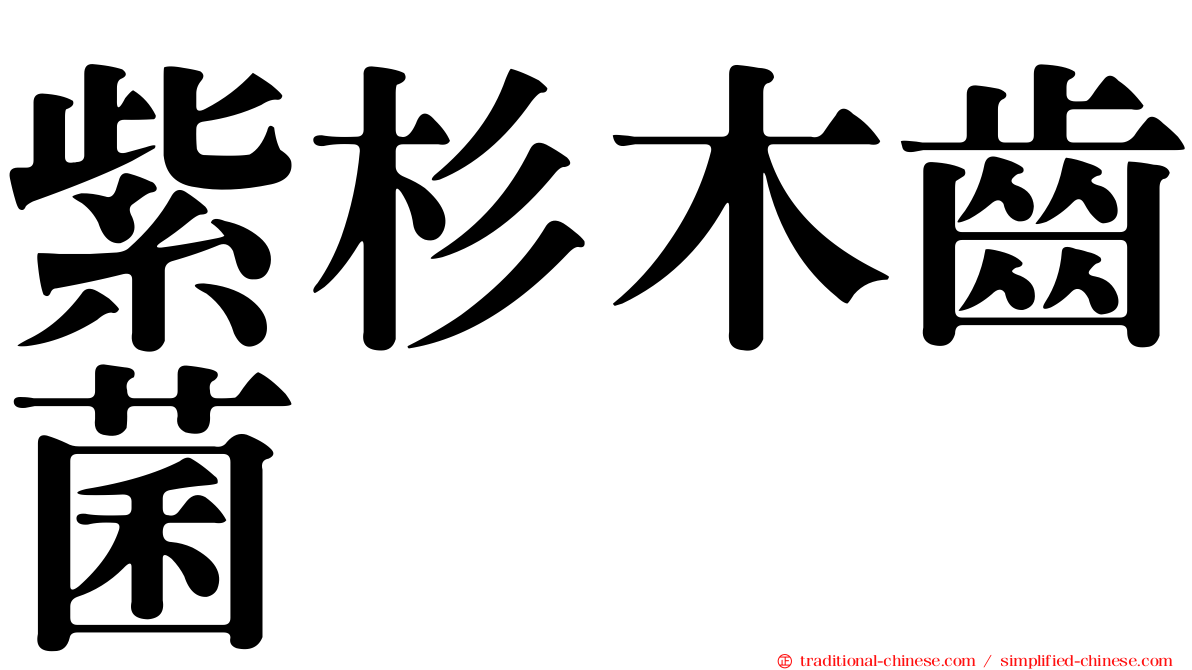 紫杉木齒菌