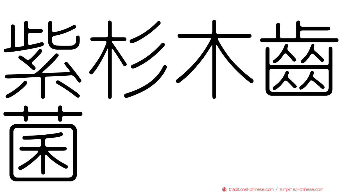 紫杉木齒菌