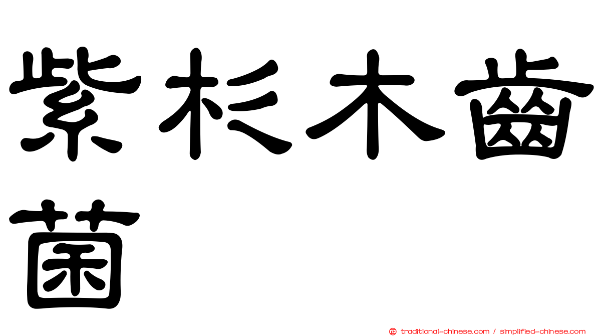 紫杉木齒菌