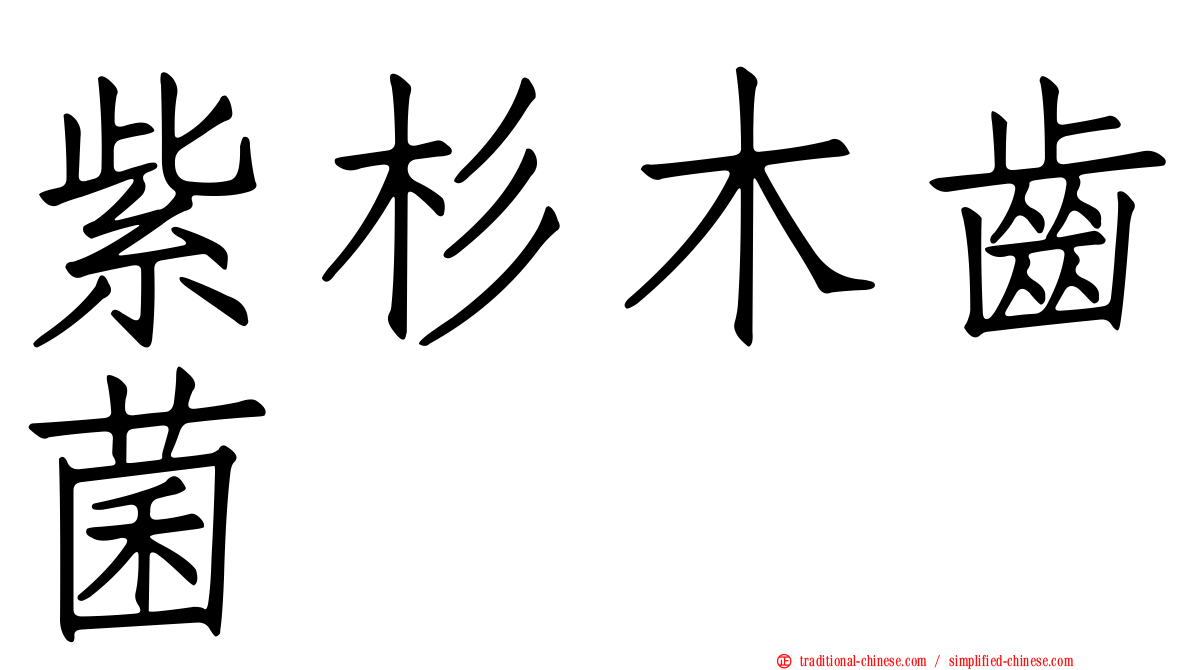紫杉木齒菌