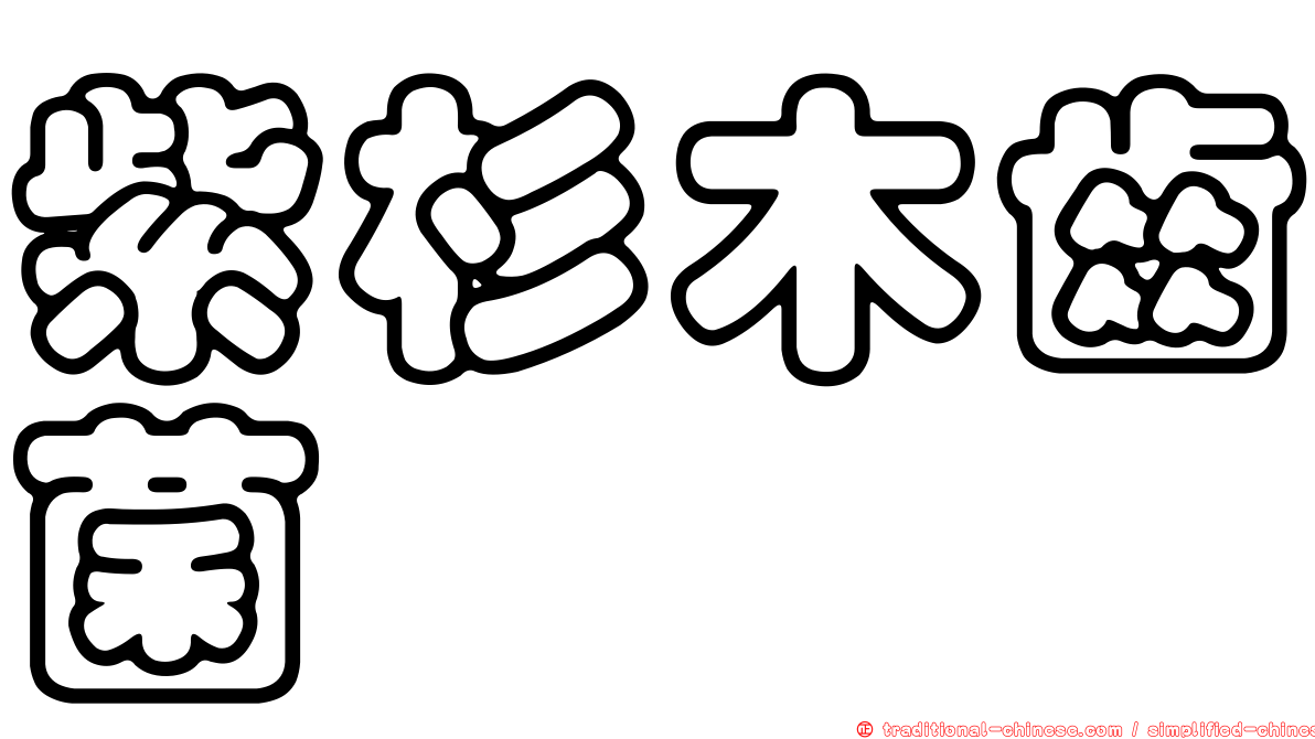 紫杉木齒菌
