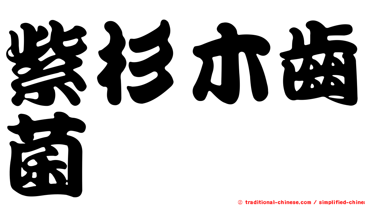 紫杉木齒菌