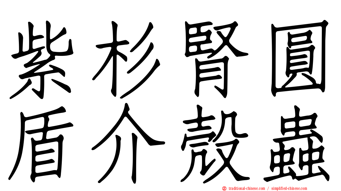 紫杉腎圓盾介殼蟲