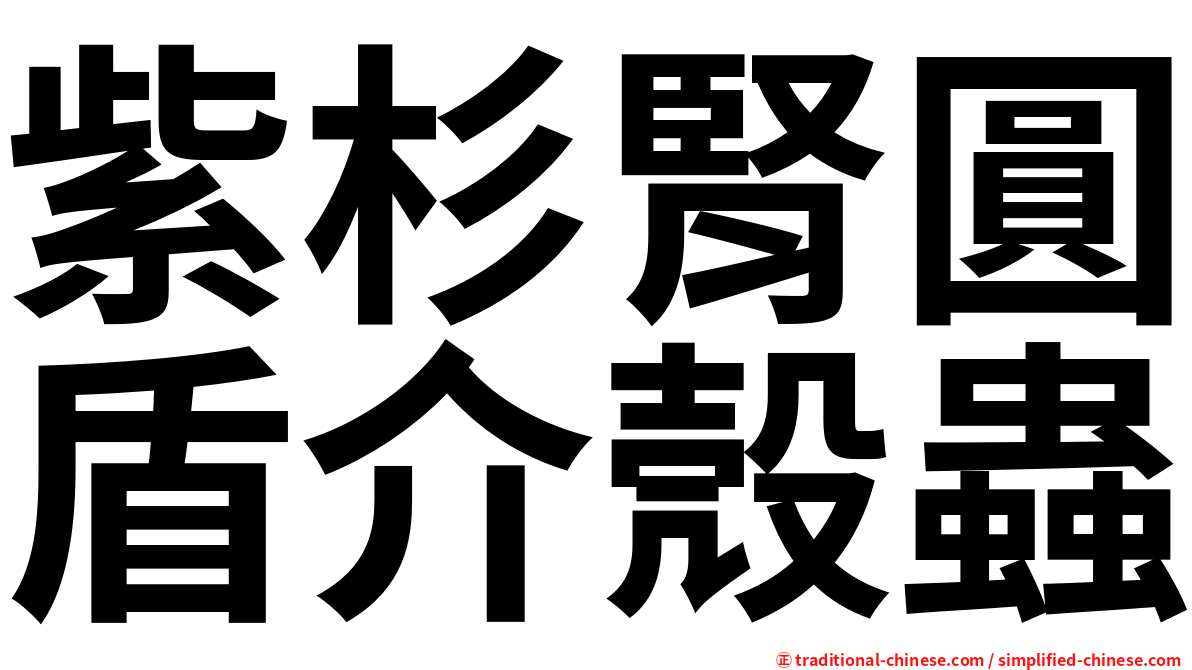 紫杉腎圓盾介殼蟲
