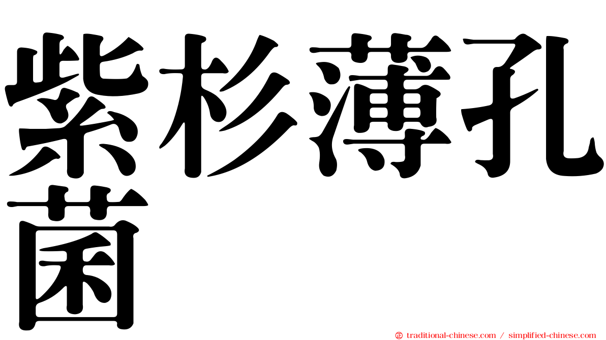 紫杉薄孔菌