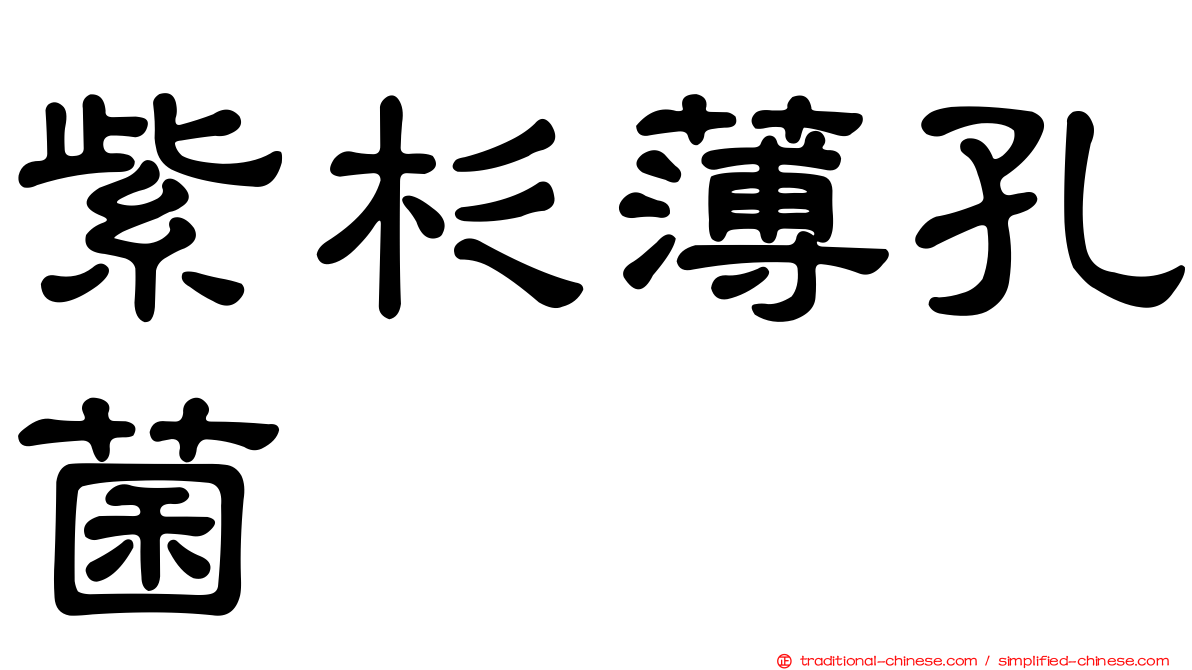 紫杉薄孔菌