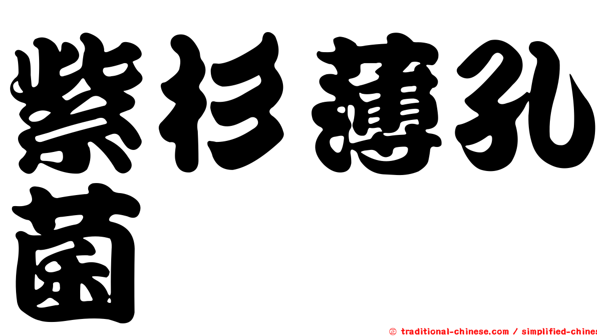 紫杉薄孔菌