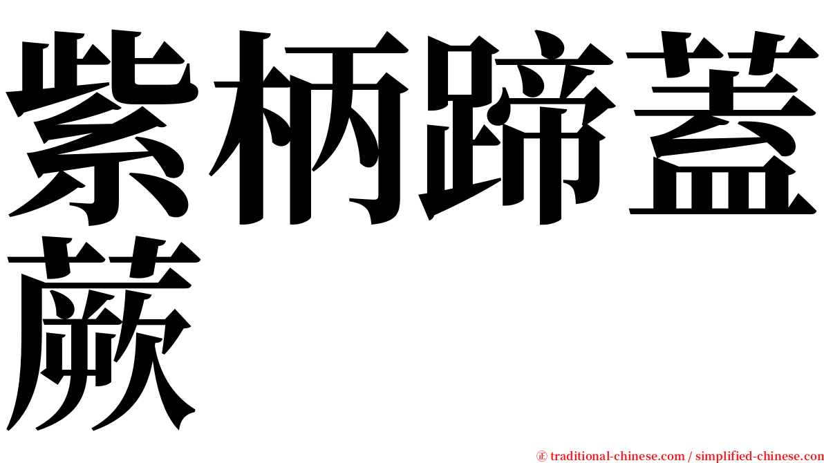 紫柄蹄蓋蕨 serif font