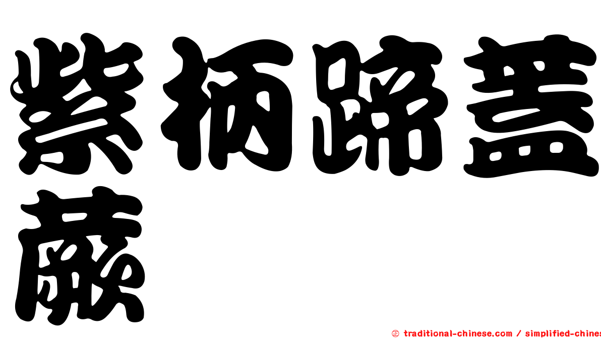 紫柄蹄蓋蕨