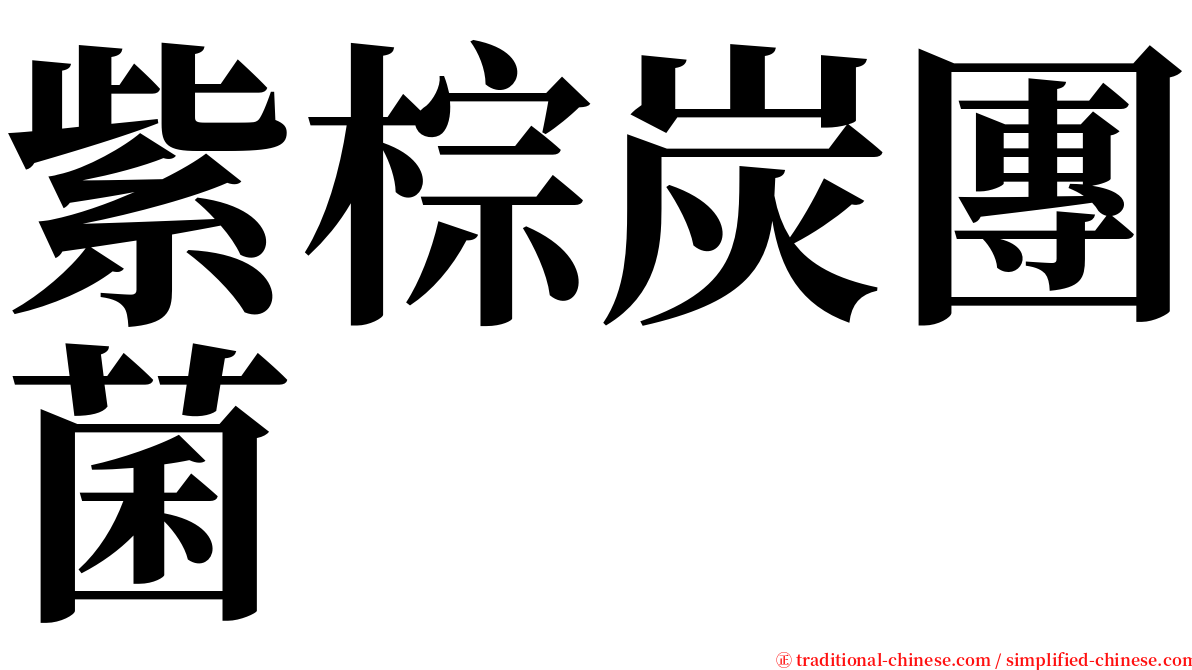 紫棕炭團菌 serif font