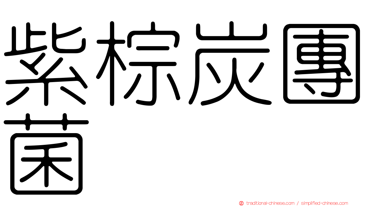紫棕炭團菌