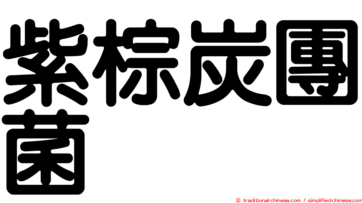 紫棕炭團菌