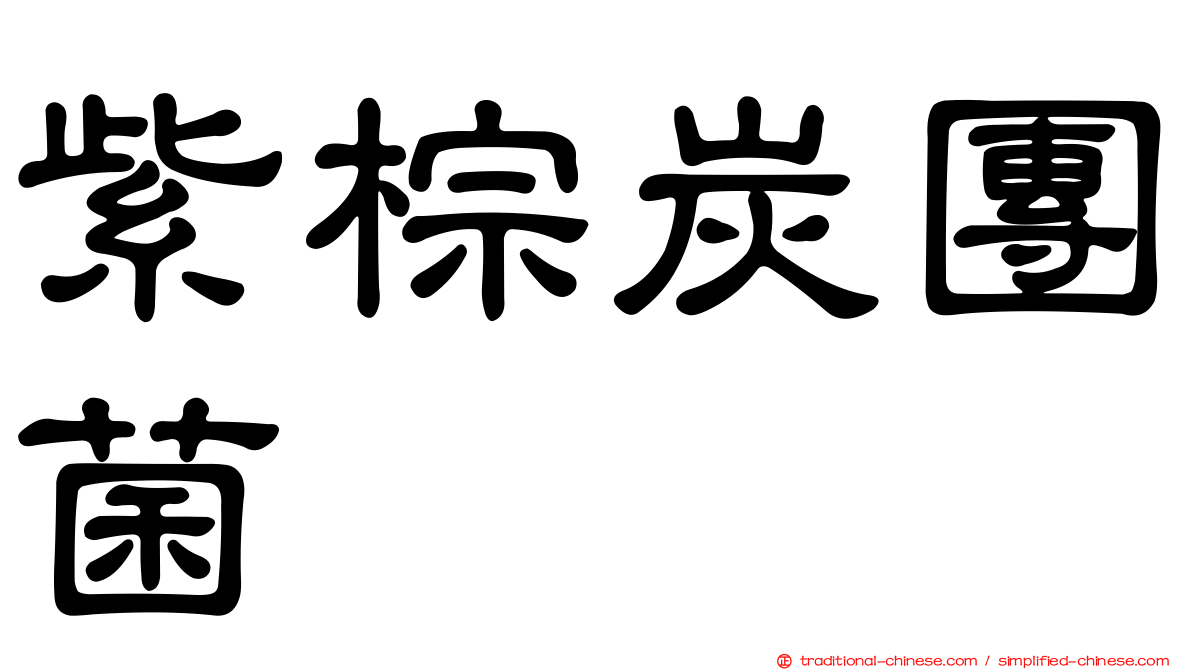 紫棕炭團菌