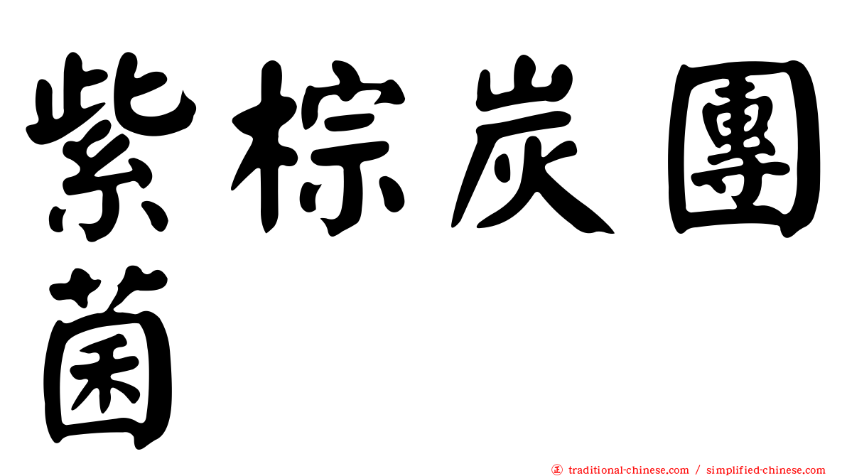 紫棕炭團菌