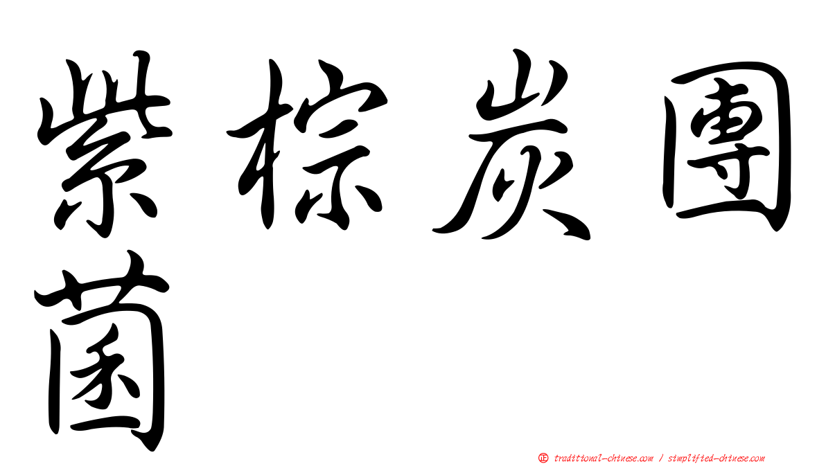 紫棕炭團菌