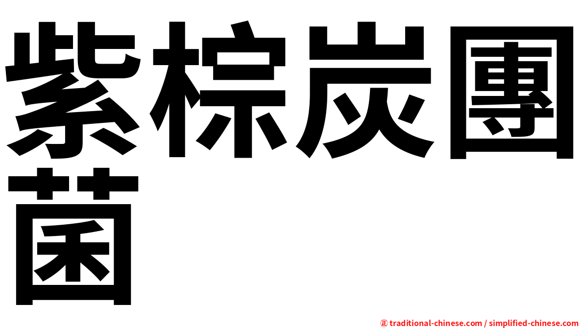 紫棕炭團菌