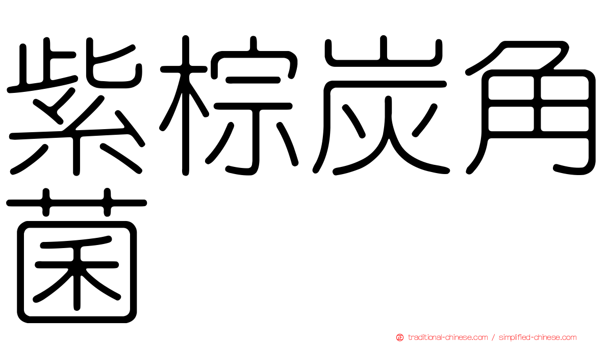 紫棕炭角菌