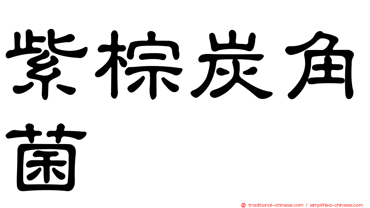 紫棕炭角菌