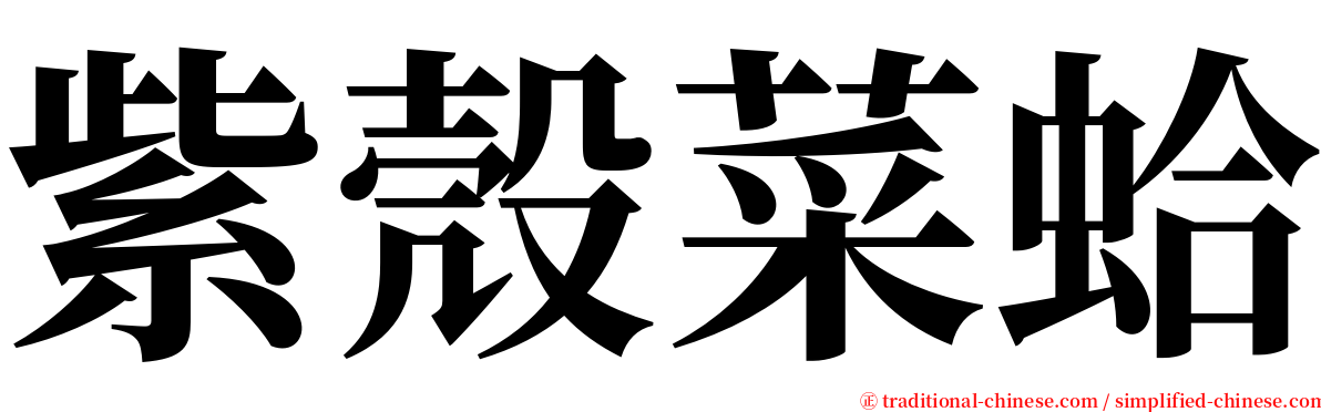 紫殼菜蛤 serif font