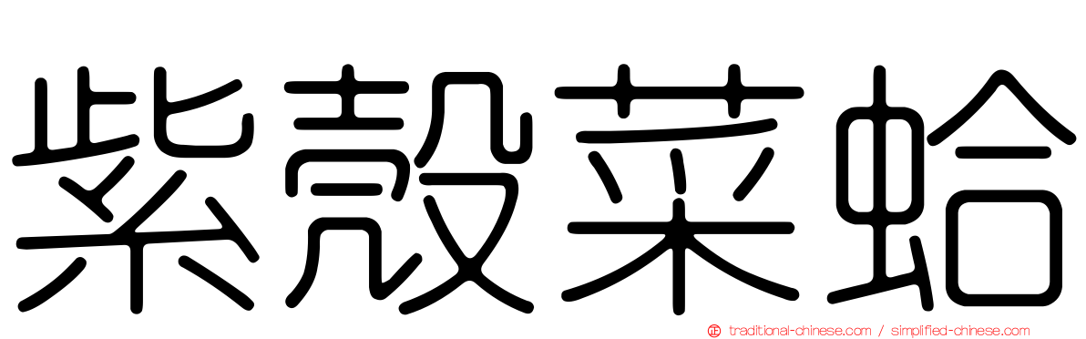 紫殼菜蛤