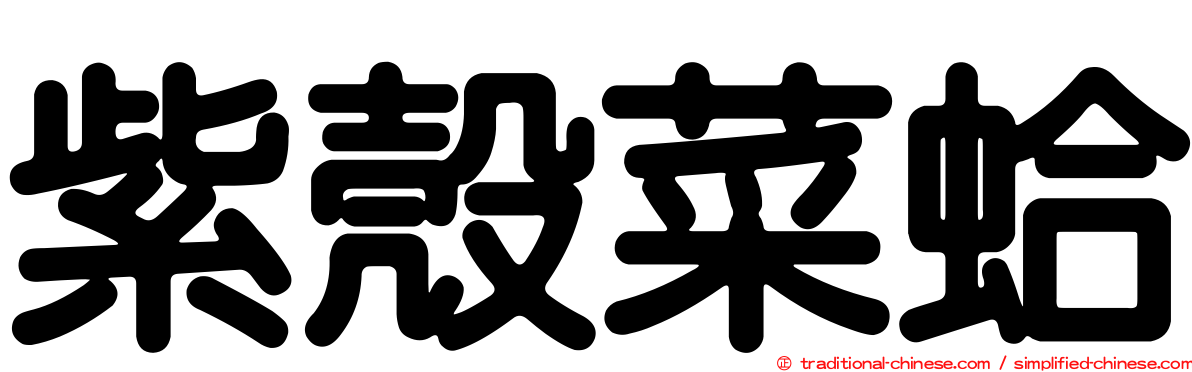 紫殼菜蛤