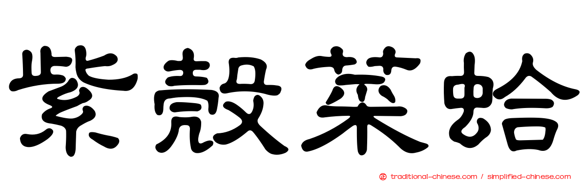 紫殼菜蛤