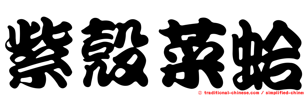 紫殼菜蛤