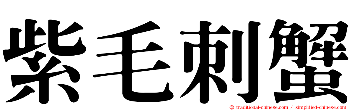 紫毛刺蟹