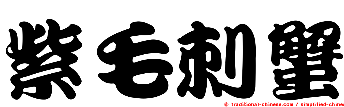 紫毛刺蟹
