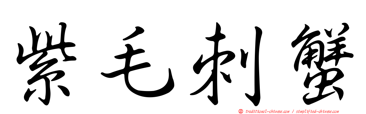 紫毛刺蟹