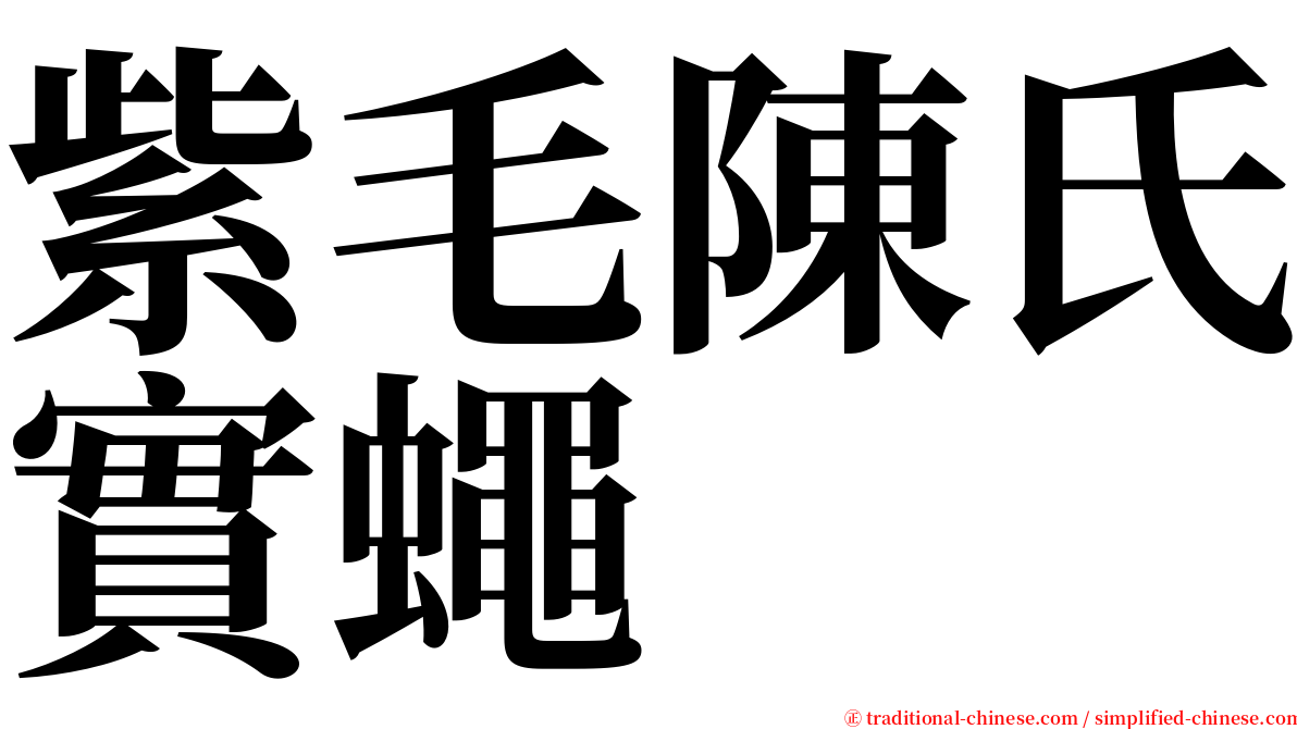 紫毛陳氏實蠅 serif font