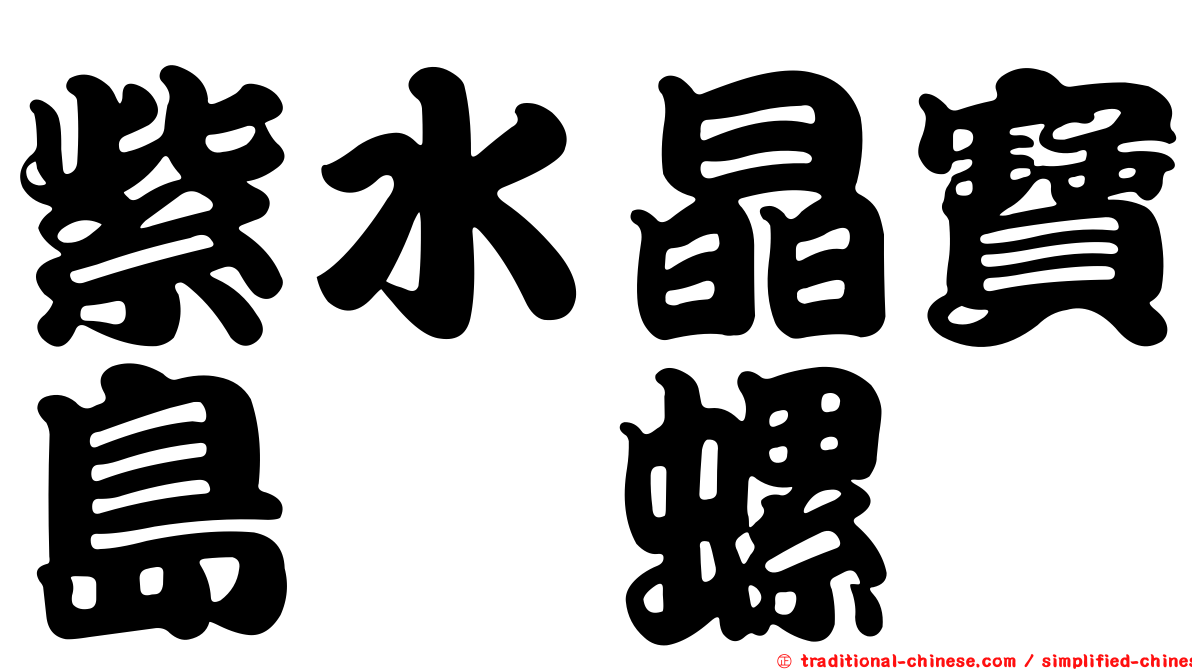 紫水晶寶島榧螺