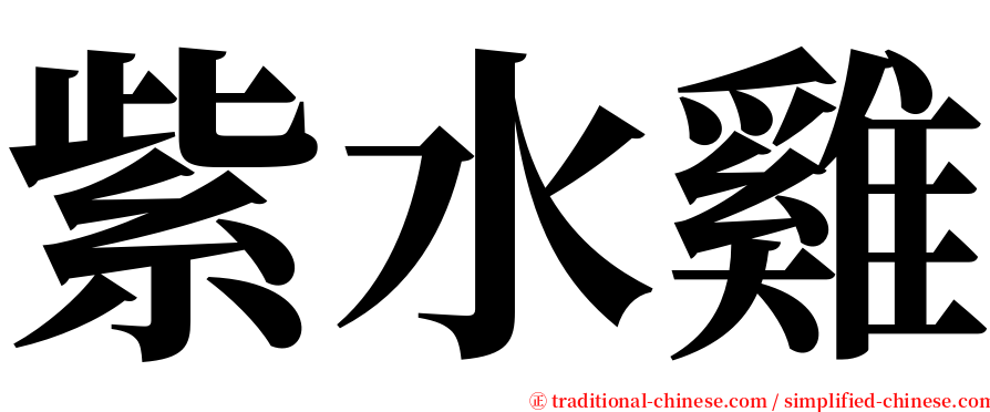 紫水雞 serif font