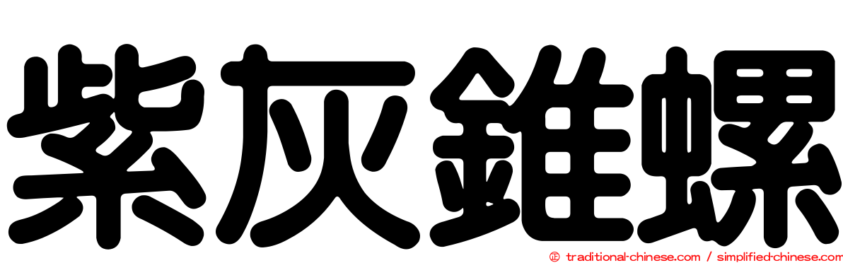 紫灰錐螺