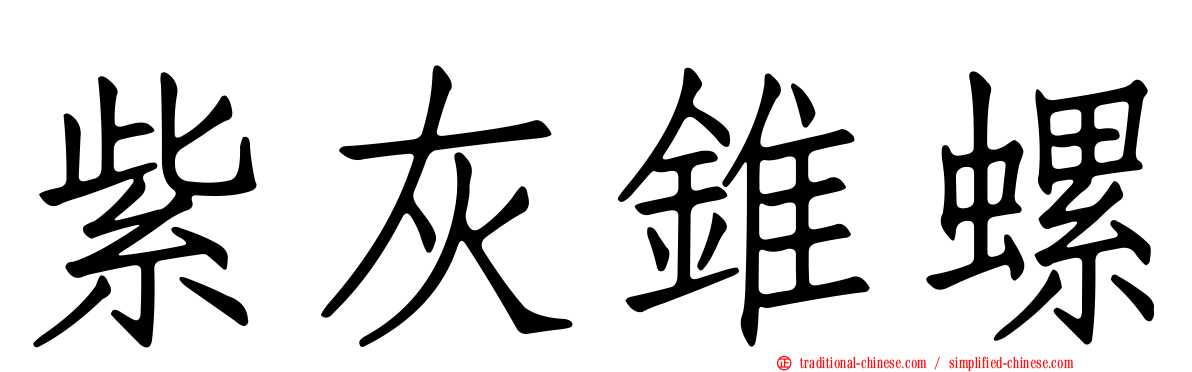 紫灰錐螺
