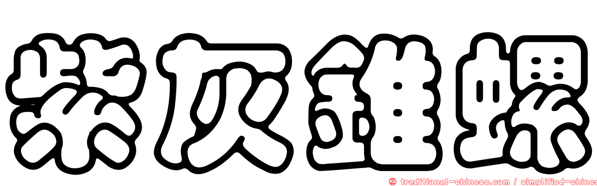 紫灰錐螺