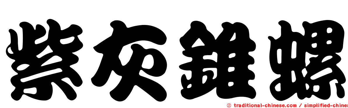紫灰錐螺