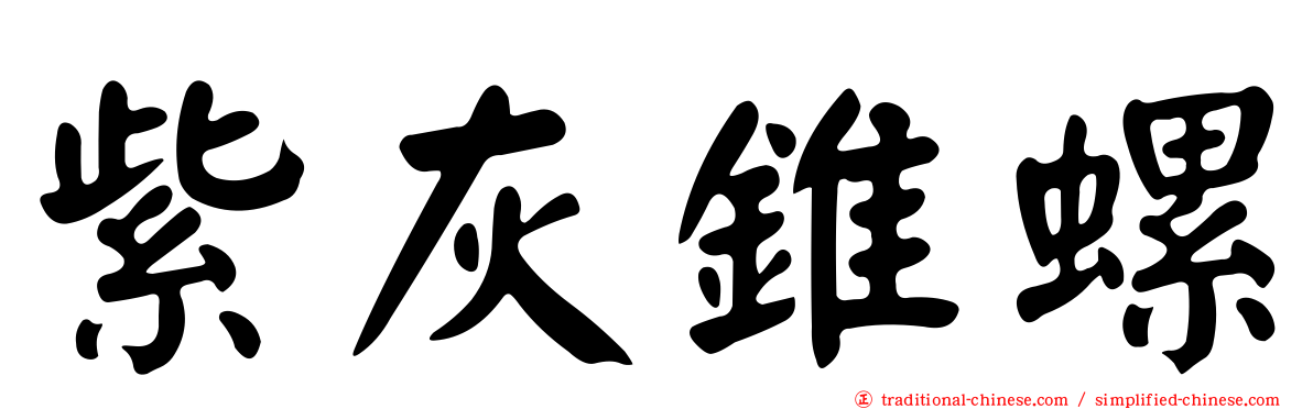 紫灰錐螺