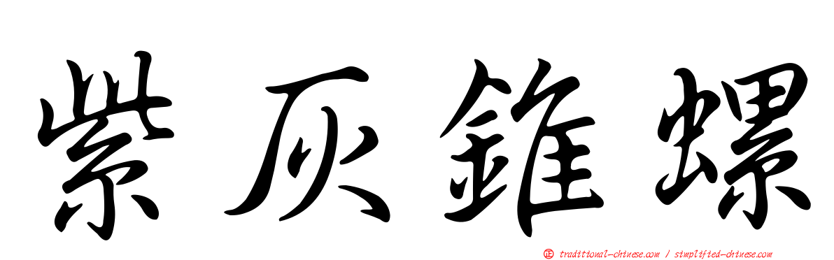 紫灰錐螺