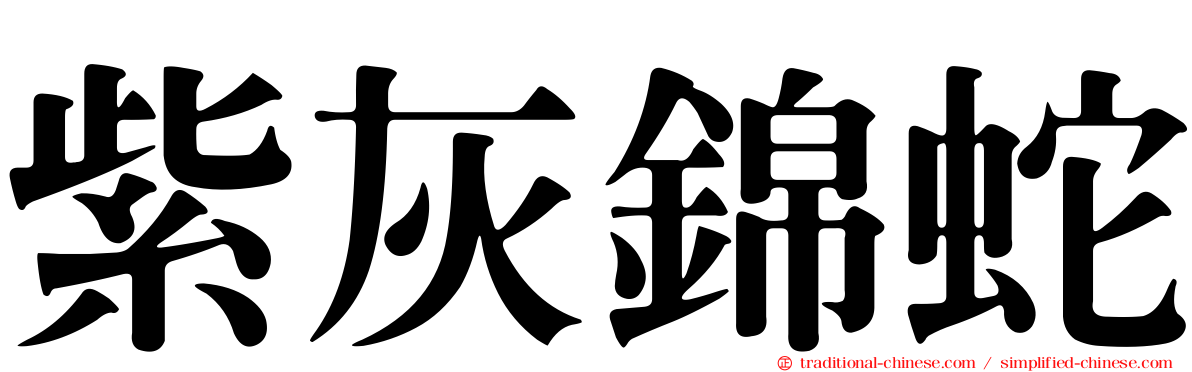 紫灰錦蛇
