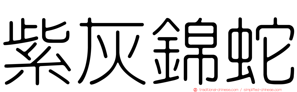 紫灰錦蛇