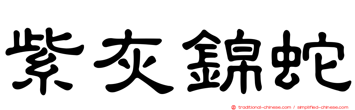 紫灰錦蛇