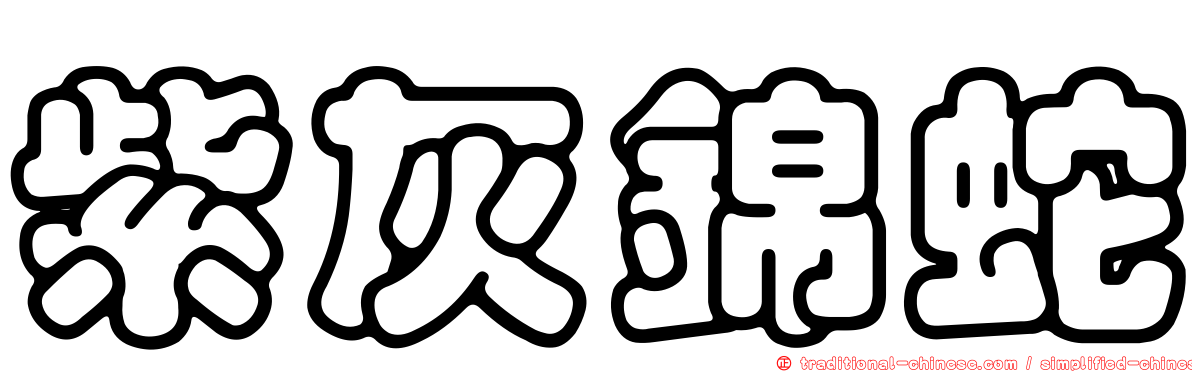 紫灰錦蛇