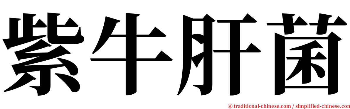 紫牛肝菌 serif font