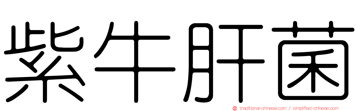 紫牛肝菌